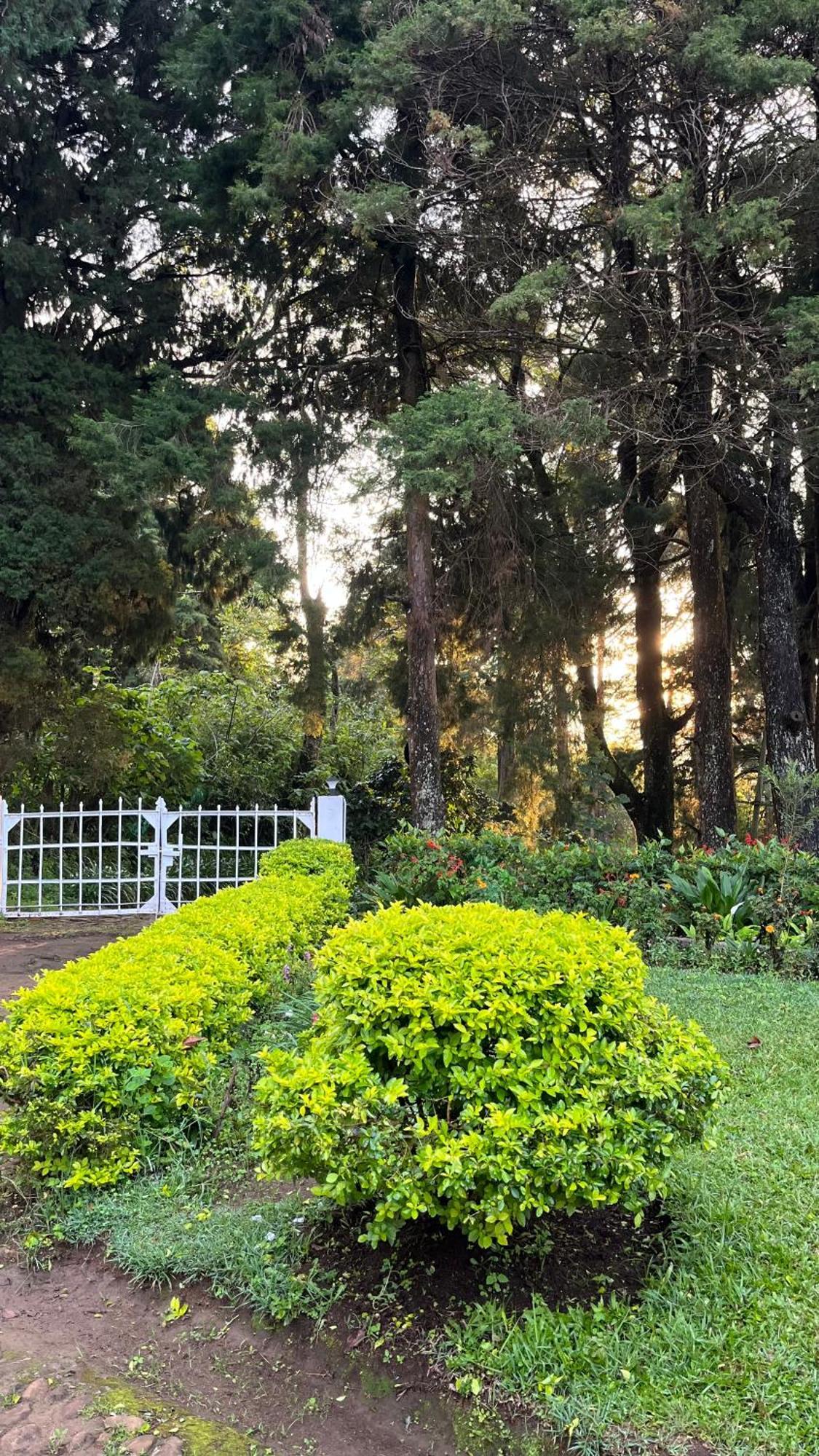 Tentgram Planters Bungalow Suryanelli エクステリア 写真